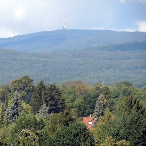 A Glimpse of Bad Homburg   