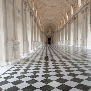 A Journey to Venaria Reale   