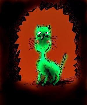 Poster Cave Cat  